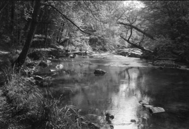 River Auvezere