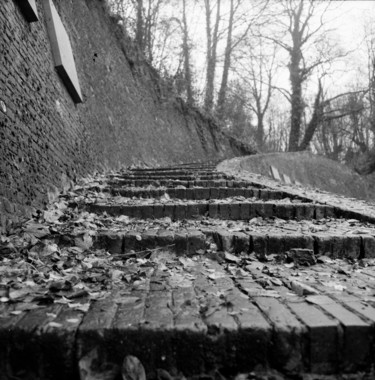 L'escalier