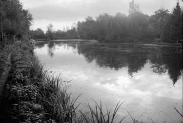 ciel et marais