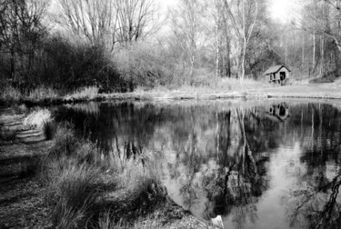 La cabane