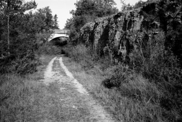 Chemin de carrière