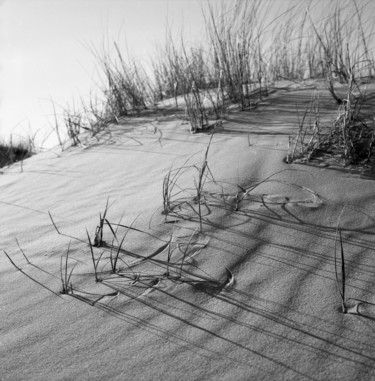 Dune de sable