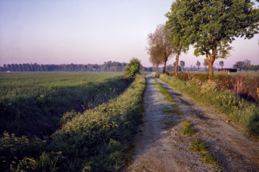 Chemin de terre