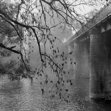 Brumes et pont