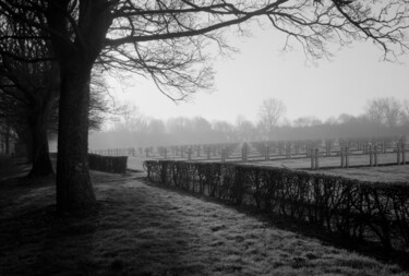 Lorette dans la brume